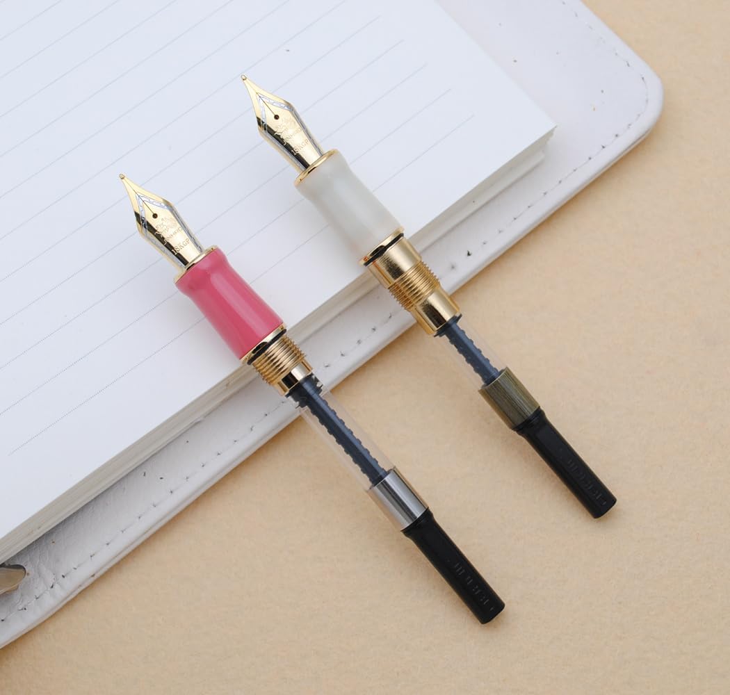 JINHAO 100 Fountain Pen with Ink Converter (Medium Nib 0.7mm, Guava)