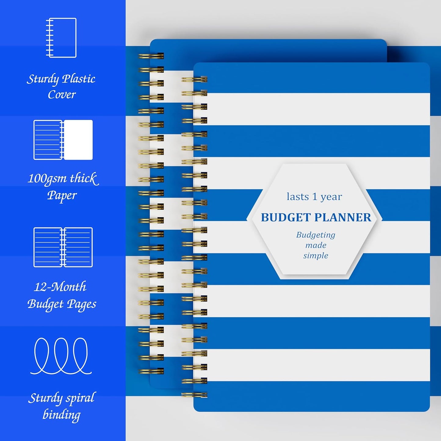 Budget Planner - Monthly Finance Organizer with Expense Tracker Notebook to Manage Your Money Effectively, Undated Finance Planner/Account Book, Start Anytimem,A5(8.6x5.9 inchs),100gsm Paper - blue