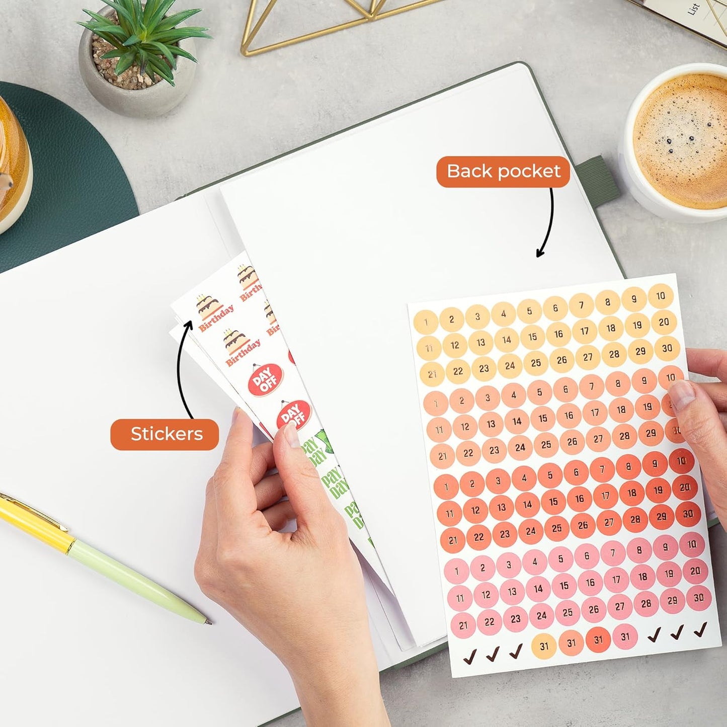 Clever Fox Appointment Book – Hourly Schedule Planner with 15-Minute Increments – Time Box Planner for Daily Work & To-Dos – Weekly & Monthly Spreads, Undated, Hardcover, 8.3x11″ (Cypress)