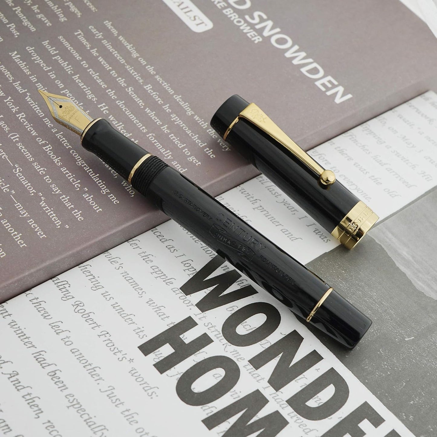 Jinhao 100 Fountain Pen Celluloid Classic Style, #6 Nib Smooth Writing Instrument with Refillable Converter and Pen Case Set