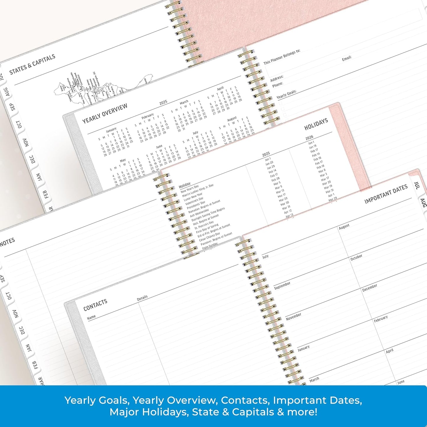 Blue Sky 2025-2026 Large Print Weekly and Monthly Academic Year Planner Calendar, July 2025 - June 2026, 8.5" x 11", Flexible Cover, Wirebound, Storage Pocket, Laminated Tabs, Charlotte
