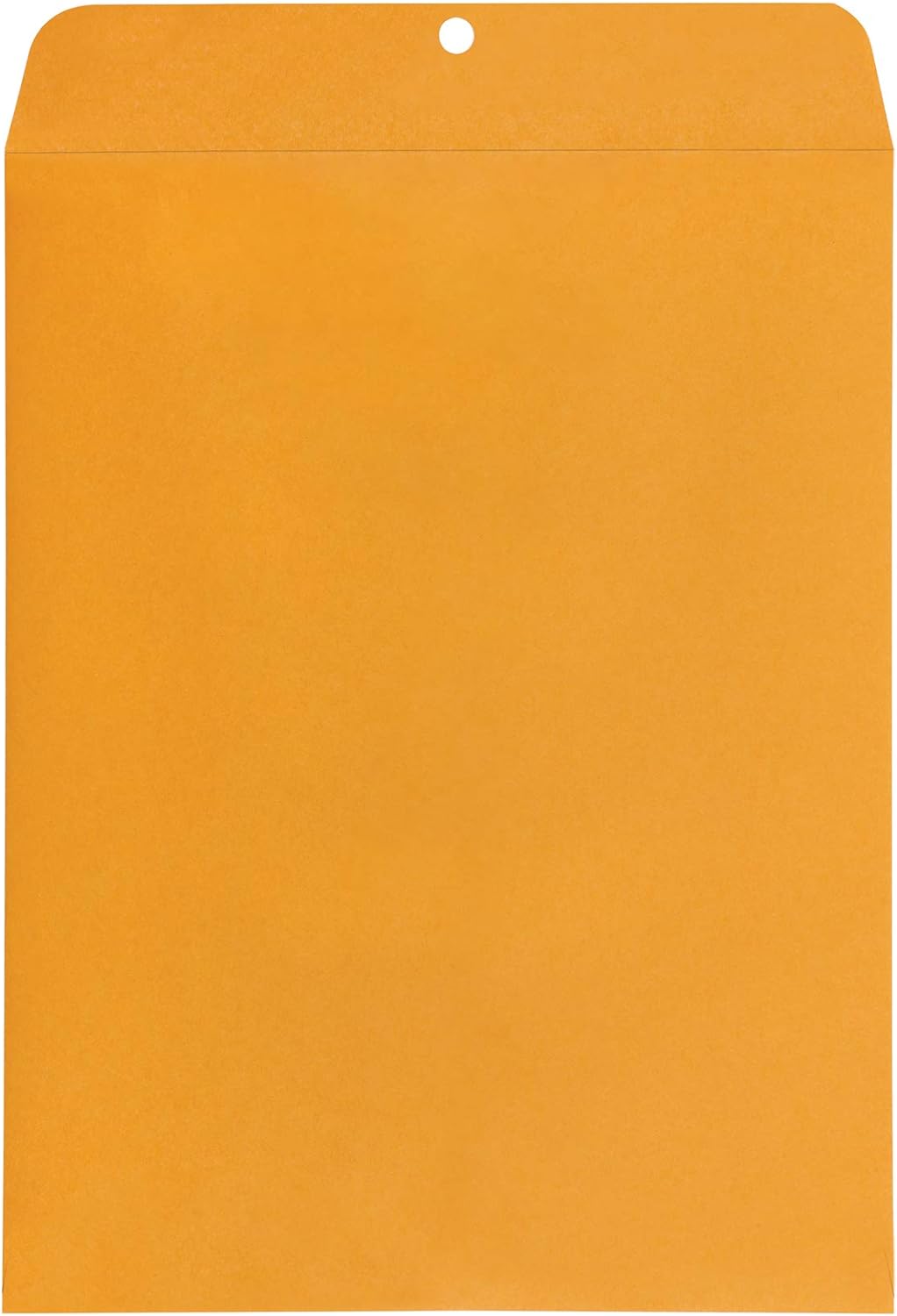 Amazon Basics Clasp Kraft Envelopes, Gummed Mailing Envelope, 10 x 13 inch, 100-Pack