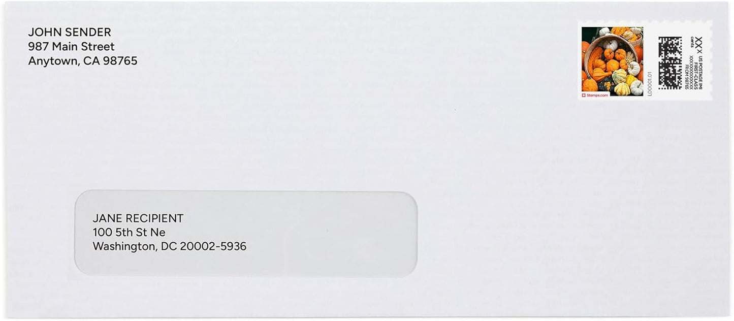 Pumpkins Galore NetStamps 120-Pack (5 Sheets) Printable Postage Labels (Stamps.com Subscription Required) - Print Approved Postage - Inkjet & Laser Printers - Business, Personal, Home