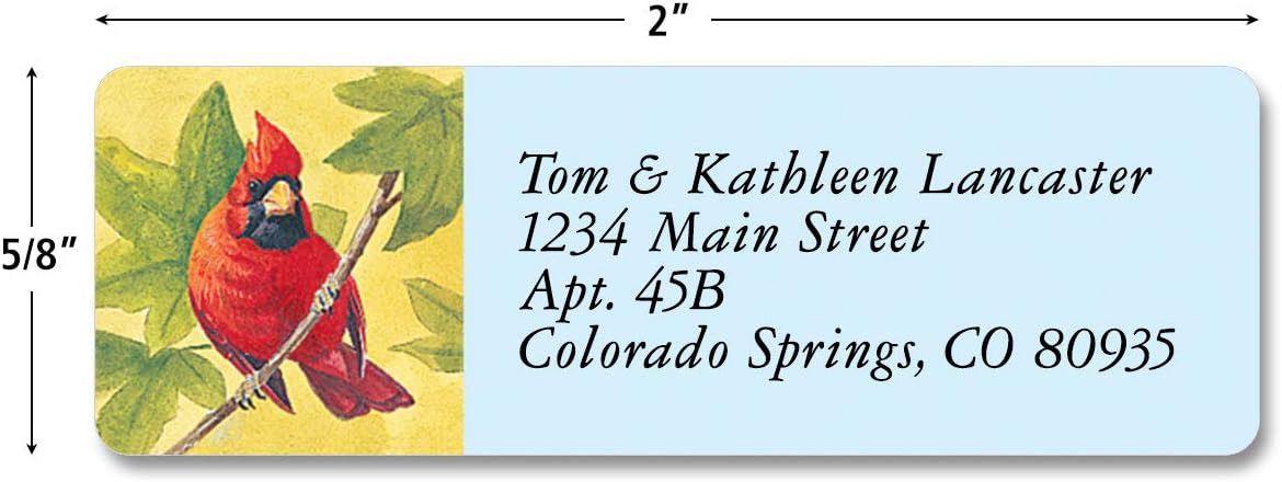 Colorful Images Birds of America Return Address Mailing Labels, Personalize with Name & Addresses, Set of 240 Self Adhesive, Easy Peel Flat Label Sheets, ⅝ inch x 2”, 12 Designs
