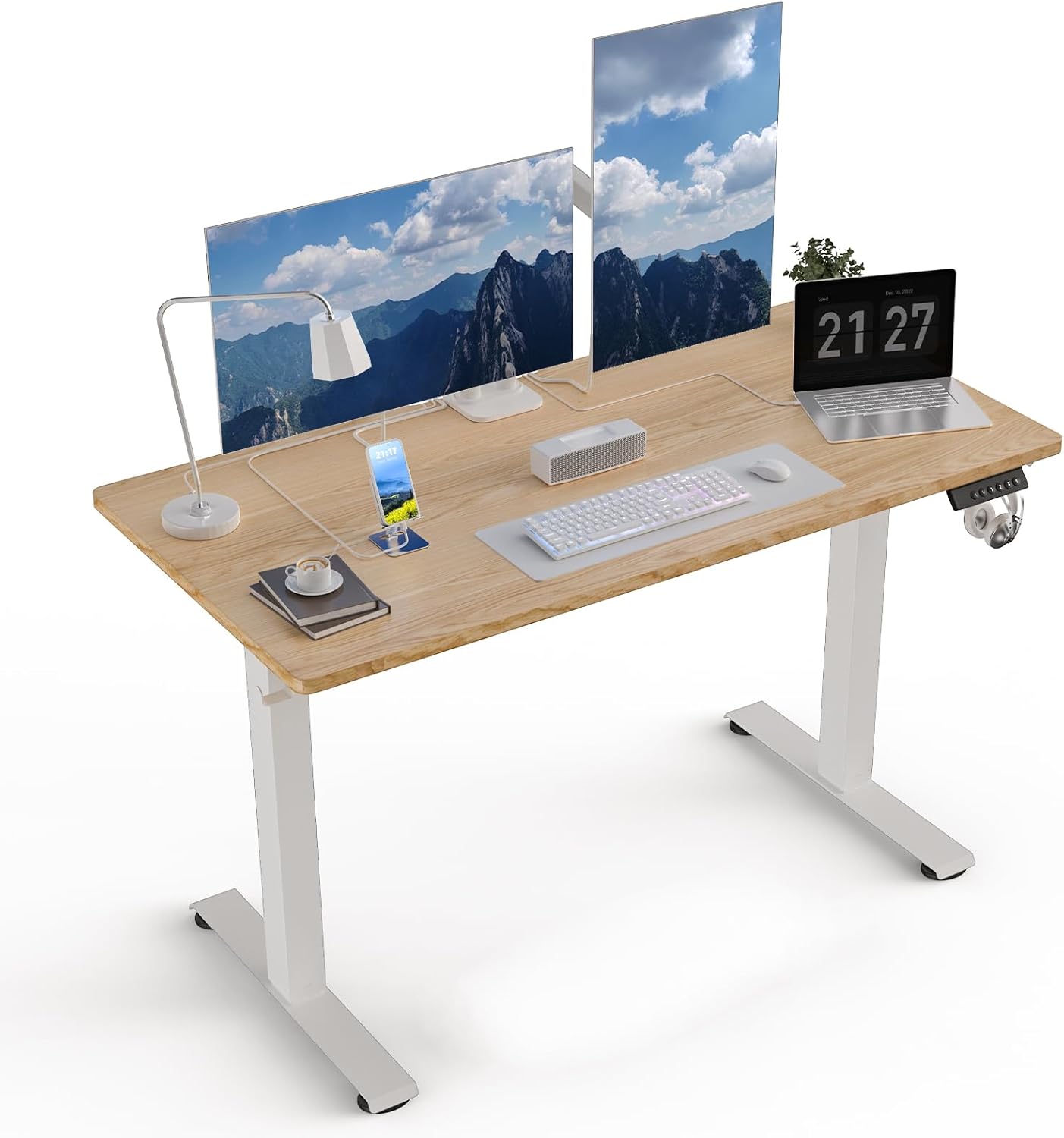 48 * 24 Electric Standing Desk, Adjustable Height Sit Stand Up Desk, Motorized Home Office Computer Gaming Workstation Desk