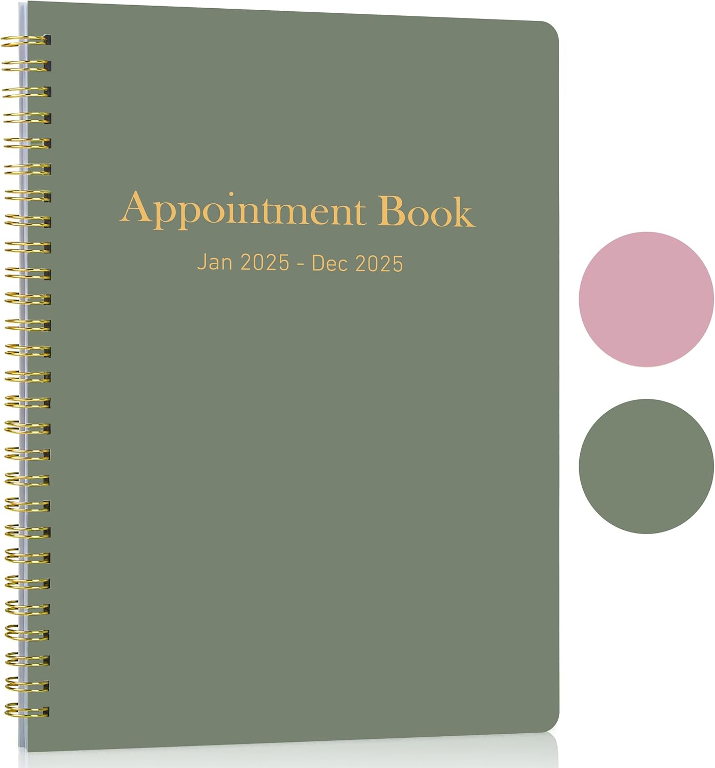 Appointment Planner 2025 - Daily Hourly Schedule Planner from 7am - 10 pm, Weekly & Monthly Hourly Appointment Book Calendar from Jan 2025 - Dec 2025, 9" x 11"-Green
