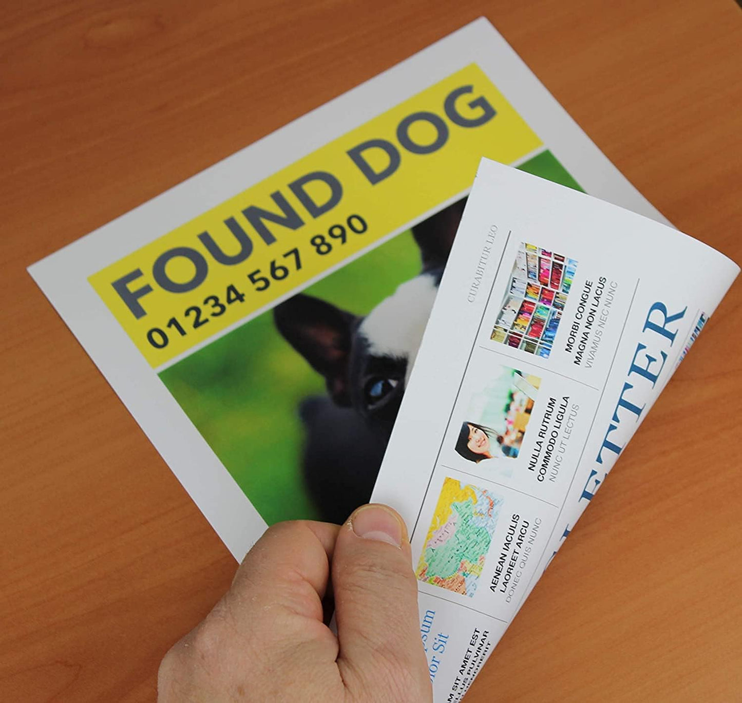 PPD Double Sided Photo Paper, Matte Brochure Paper 13 x 19 for Inkjet Printer, 210 gsm, 9 mil Thick for Magazine, Flyer, Presentation, Program, Instant Dry & Water Resistant (50 Sheets)