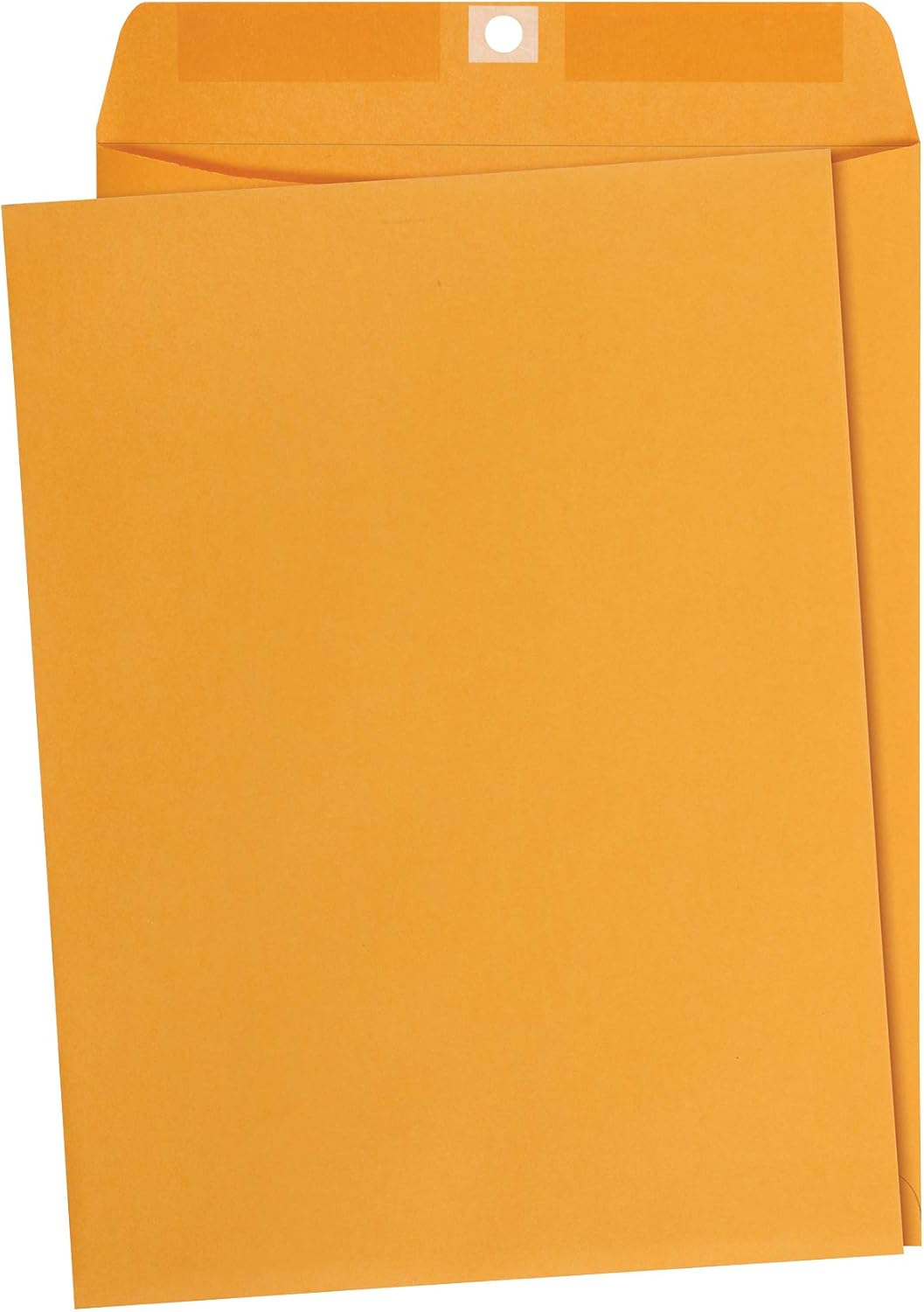 Amazon Basics Clasp Kraft Envelopes, Gummed Mailing Envelope, 9 x 12 inch, 100-Pack