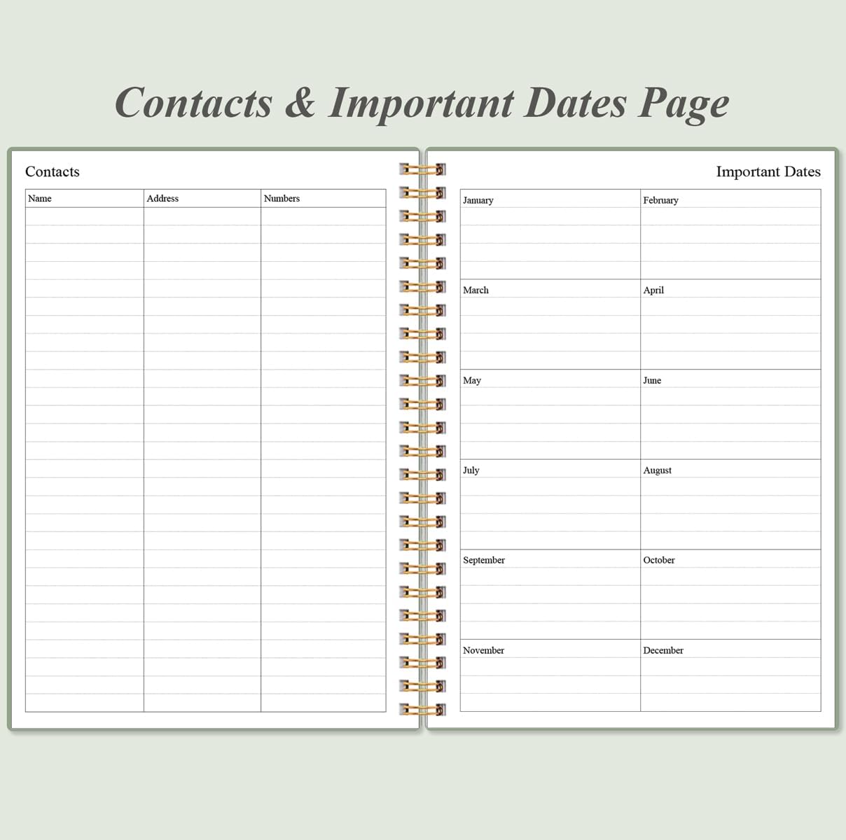 Daily Planner Undated - A5 To Do List Notebook Hourly Schedules, Spiral Appointment Planner for Women and Men, PVC Hardcover, Inner Pocket, Elastic Closure, 5.8" x 8.3", Green