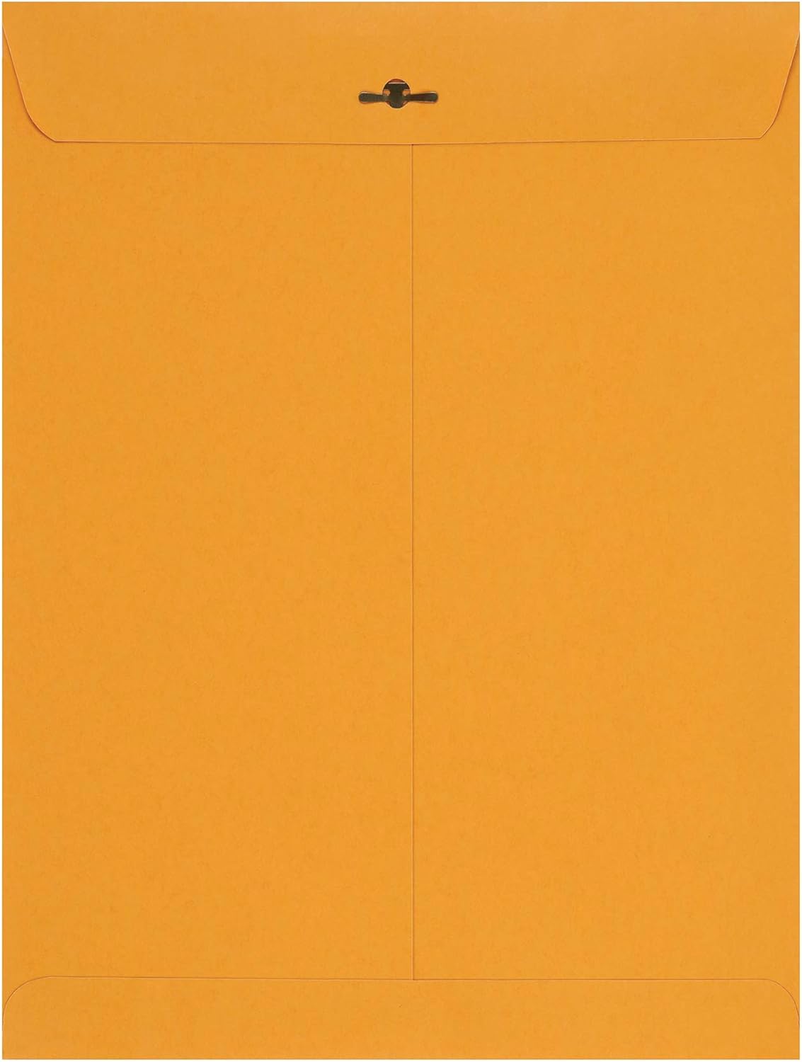 Amazon Basics Clasp Kraft Envelopes, Gummed Mailing Envelope, 9 x 12 inch, 100-Pack