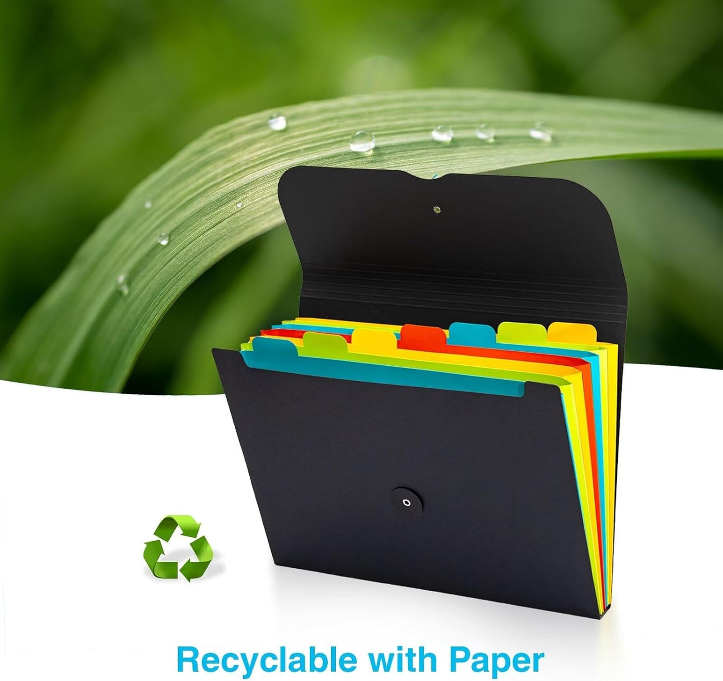 Blue Lake ECOLIFE Expanding File Folder Accordion Plastic Free 7 Pocket Rainbow Divider Expandable Folders Organizer Black