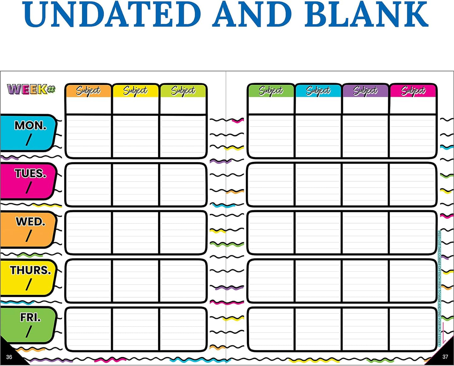 Carson Dellosa Kind Vibes Teacher Planner—Undated Weekly/Monthly Lesson Plan Book and Record Organizer for Classroom or Homeschool (8 inches x 11 inches)