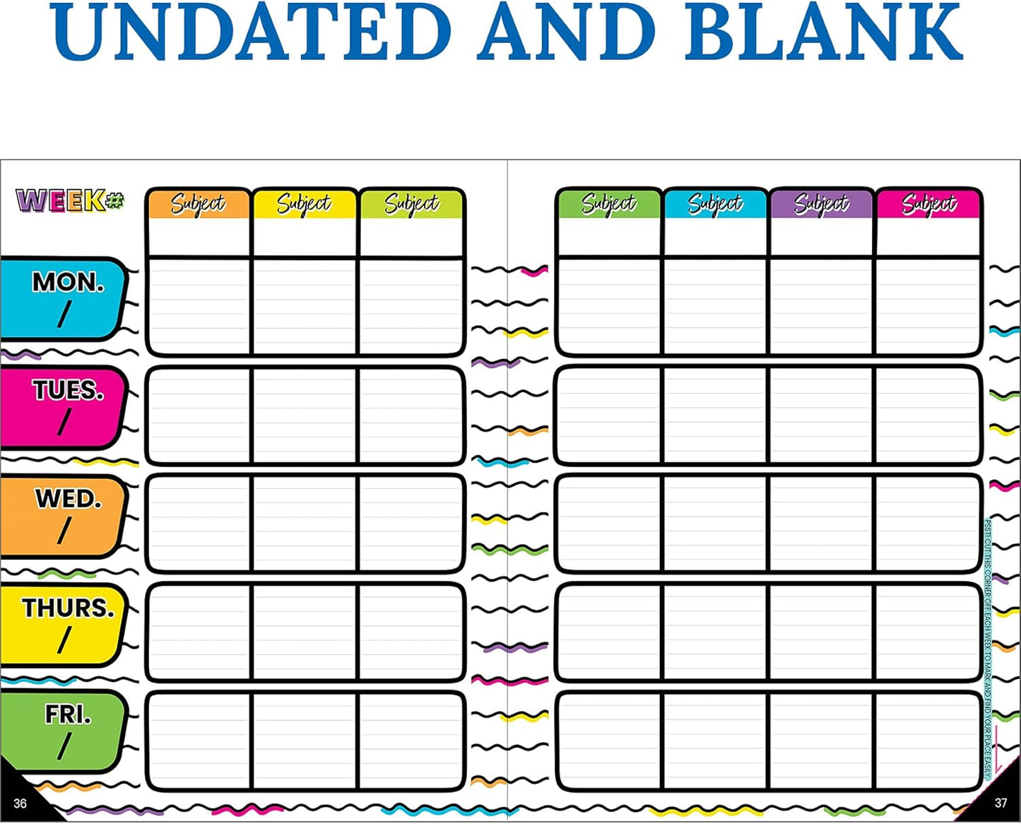 Carson Dellosa Kind Vibes Teacher Planner 2025-2026, Undated 8" x 11" Lesson Plan Book With Stickers, Class Schedule and Weekly Calendar School Supplies, Classroom Must Haves and Homeschool Essentials