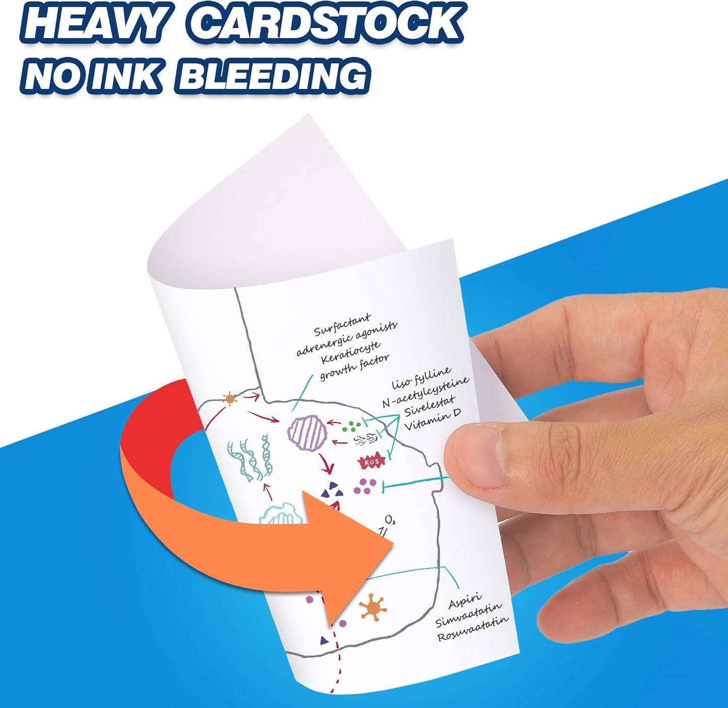 Chell 200 Count Blank Index Cards 4x6 Inch Heavyweight, No Bleed-Through, Double Side Unlined, 74 lb. Cover Weight, White