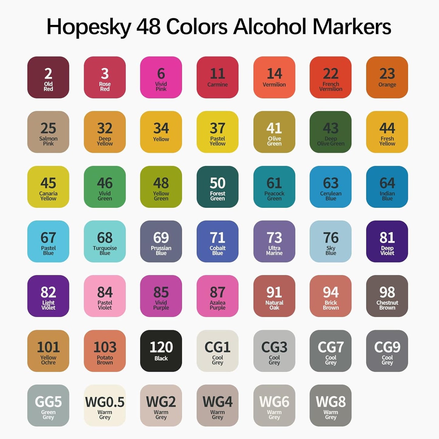 48 Colors Alcohol Markers - Dual Tip Permanent Art Markers Set for Coloring Drawing Painting, Fine and Chisel Tip Alcohol Based Pens with Storage Case for Adult Artists