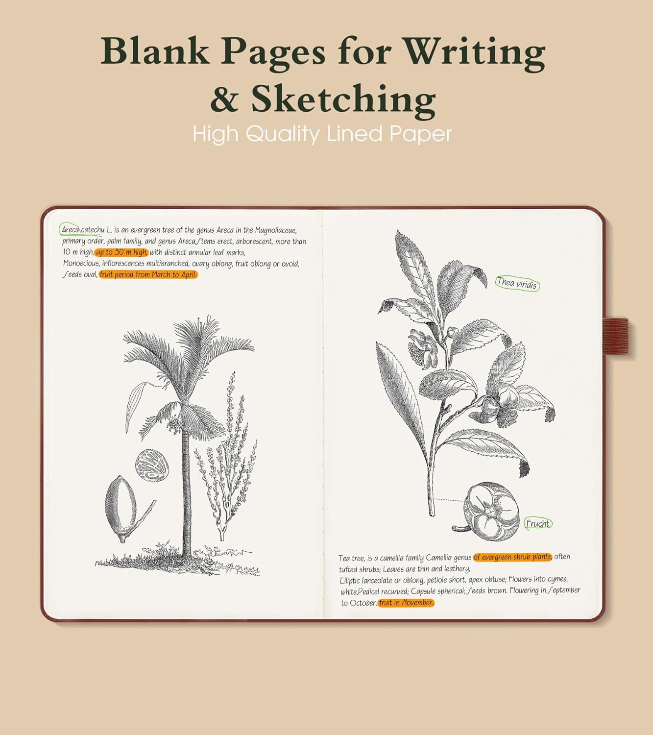 Blank Journal Notebook for Women Men,160 Pages,Inner Pocket,A5 Hardcover Sketchbook for Drawing, Sketch book, Unlined Notebooks for School,Work,Travel Journals for Writing 5.8"x8.5" (Brown)