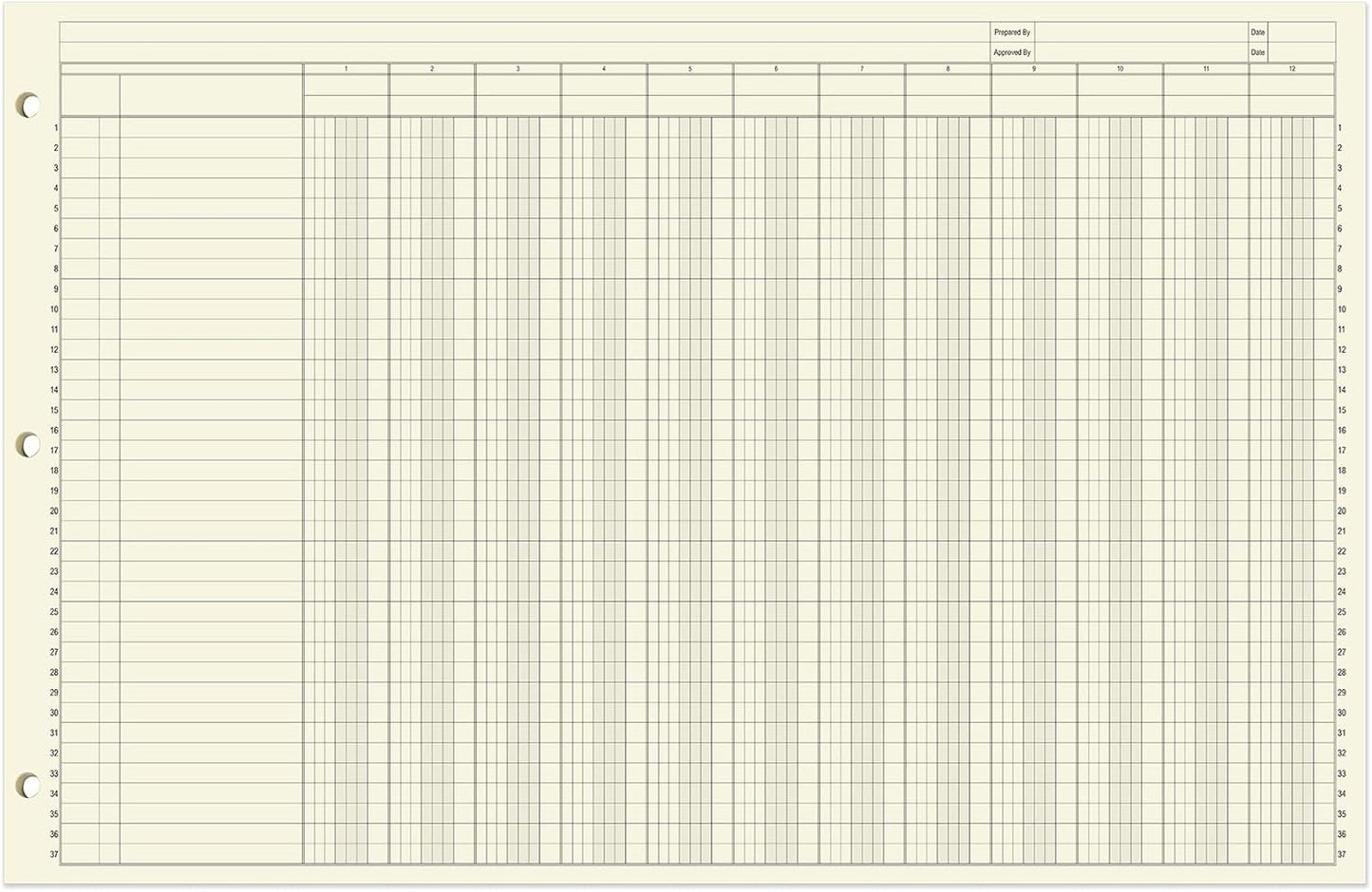BookFactory Ledger Pad/Large 12 Column Accounting Ledger Columnar (Twelve Columns) Pads - 17'' x 11'', 50 Pages, Notepad Landscape Format (PAD-050-CLCPD3(17x11-Ledger-12)-AX)