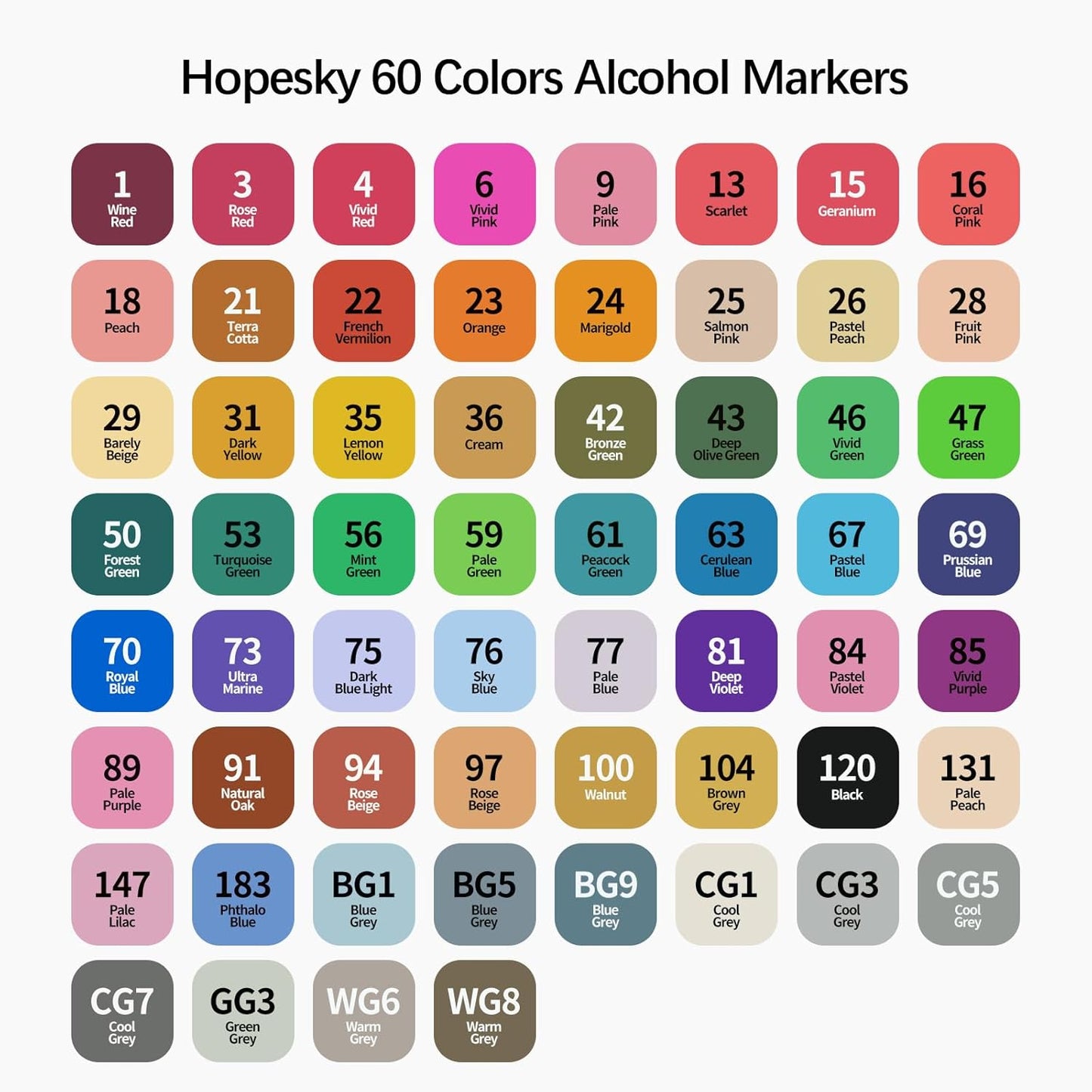 60 Colors Alcohol Markers - Dual Tip Permanent Art Markers Set for Coloring Drawing Painting, Fine and Chisel Tip Alcohol Based Pens with Storage Case for Adult Artists