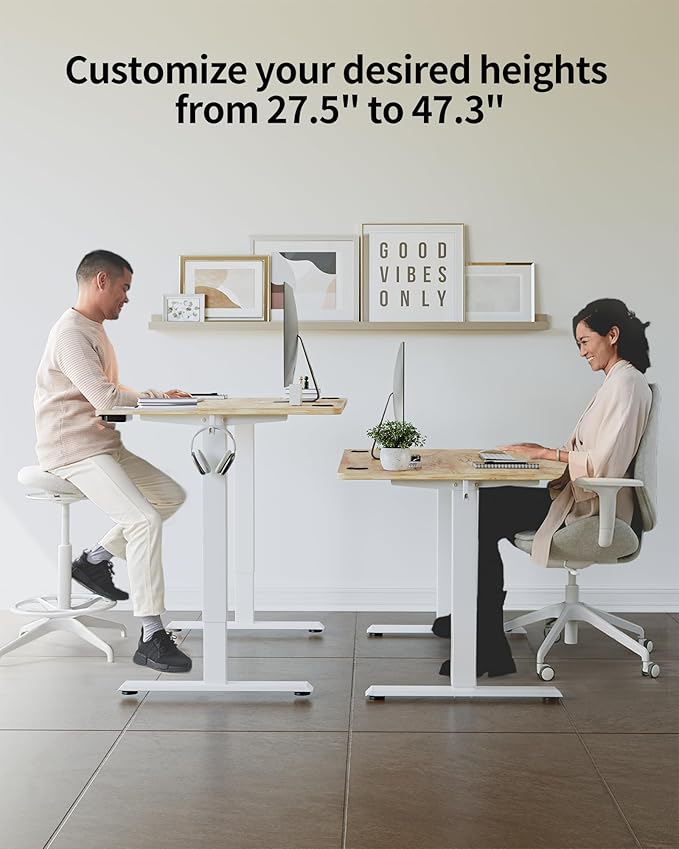 FEZIBO One-Piece Standing Desk Adjustable Height Stand up Home Office Desk, 48x24 Inch Electric Standing Computer Desk, with 4 Memory Presets, Fixable casters, Light Rustic