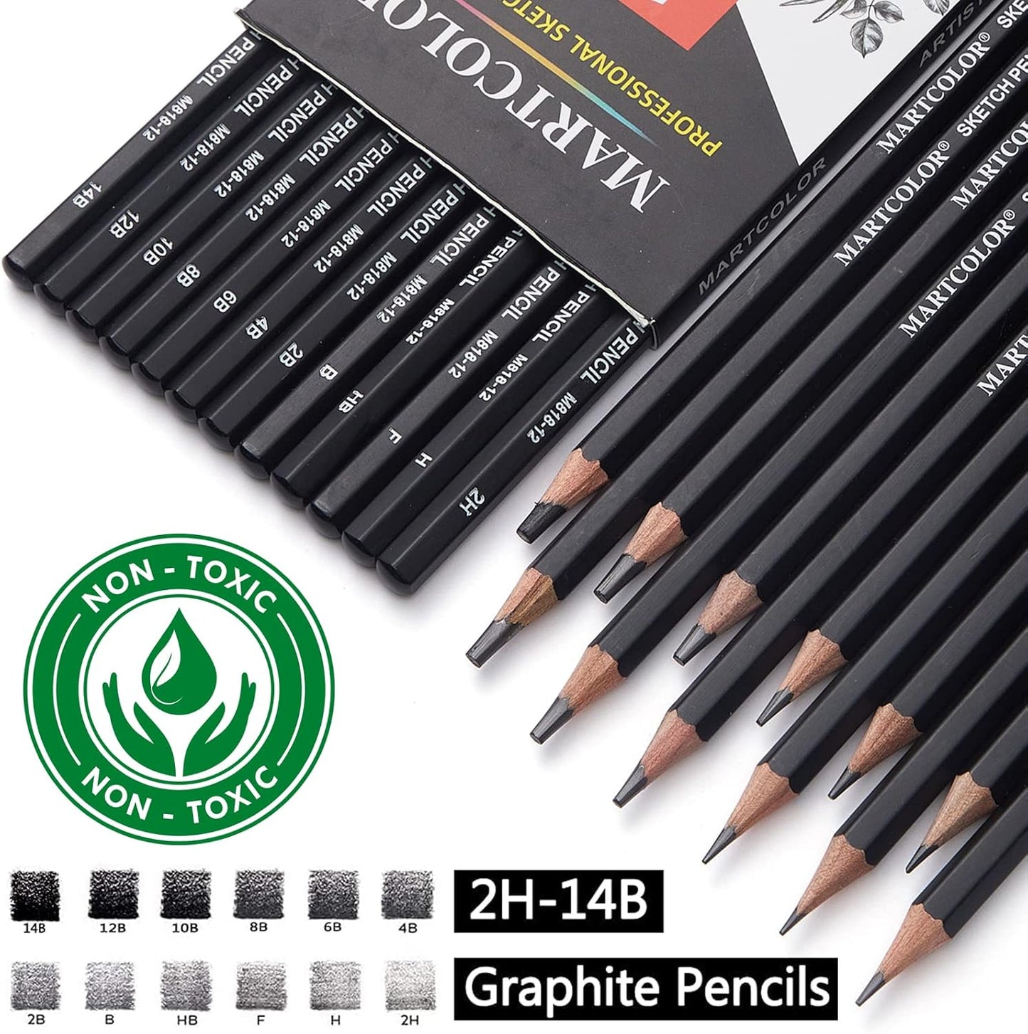 Drawing Sketching Pencils Set, 12 Pack Graphite Pencils(14B - 2H), Ideal for Drawing Art, Sketching, Shading, Artist Pencils for Beginners & Pro Artists