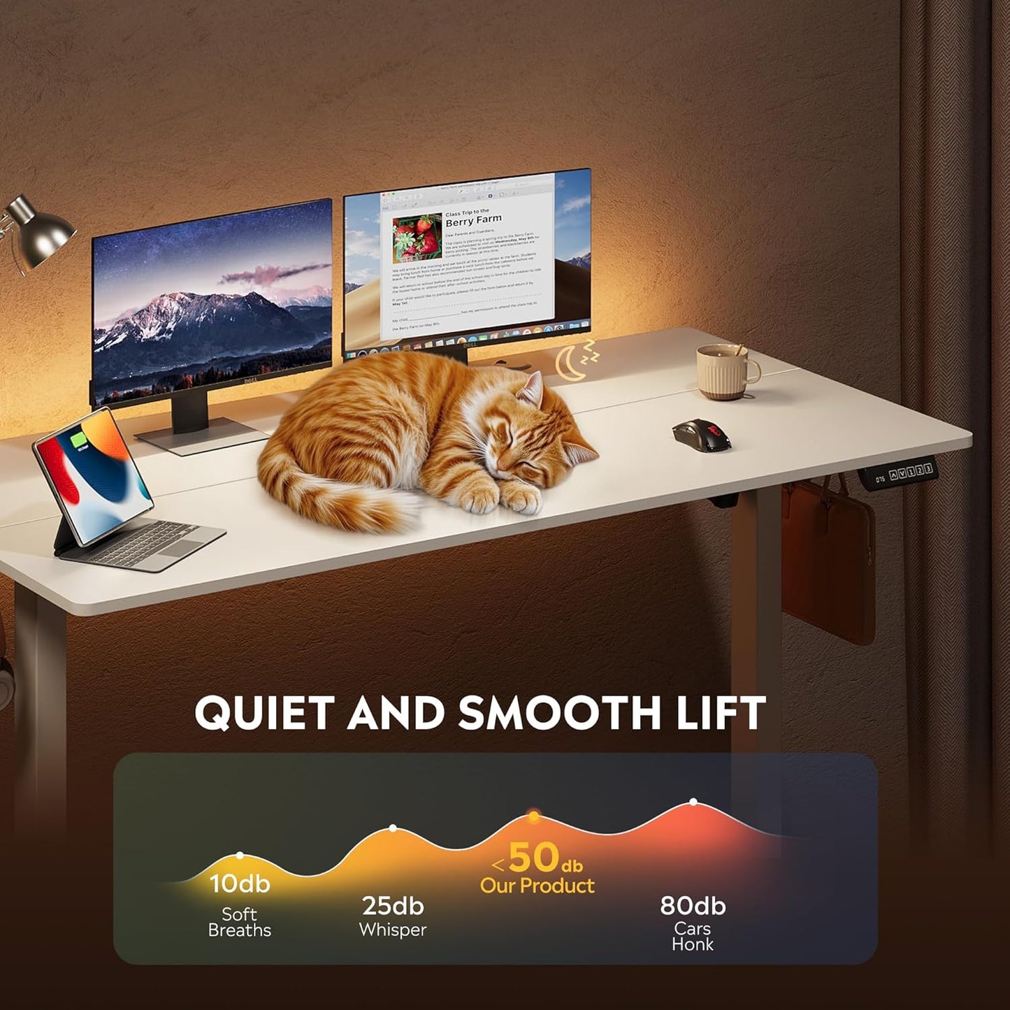 DEVAISE 55 Inch Electric Standing Desk, 3 Adjustable Height Stand up Desk for Home Office, Ergonomic Sit to Stand Desk with LED Touchscreen, Headphone Hook, 3 Memory Preset Computer Desk (White)