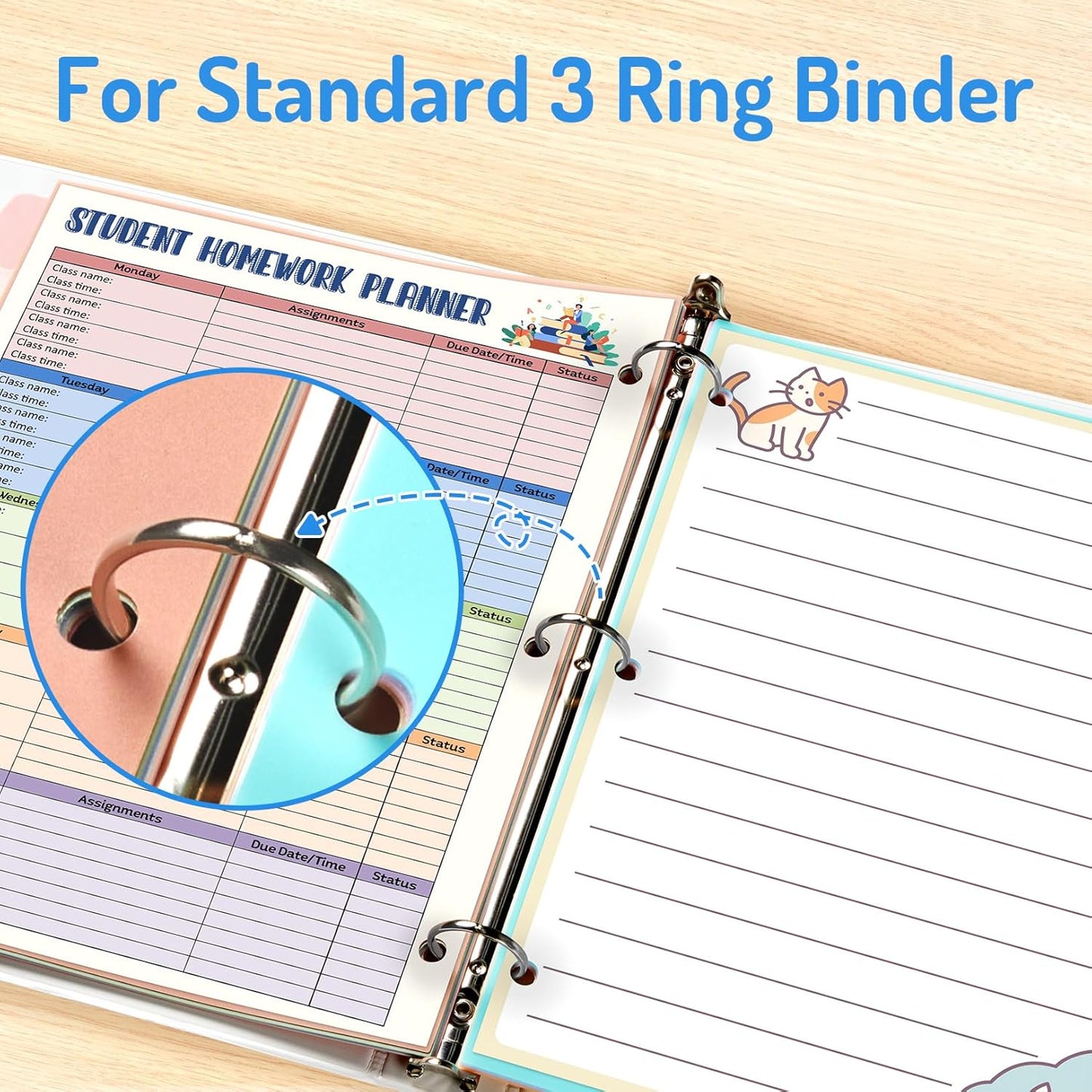 Forvencer 8-Tab Binder Dividers with Tabs, Big Tabs, Write&Erase Plastic Dividers for 3 Ring Binder, Binder Tabs for Organizers, 3 Ring Binder Dividers with Tabs for School Office (Muted, 3 Set)