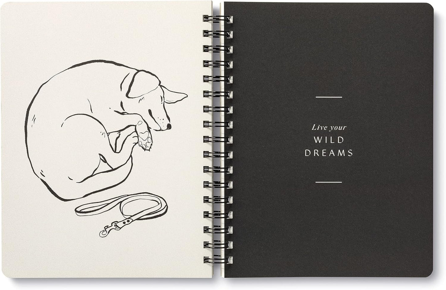 Compendium Spiral Notebook - Play All Day — A Designer Spiral Notebook with 192 Lined Pages, College Ruled, 7.5”W x 9.25”H