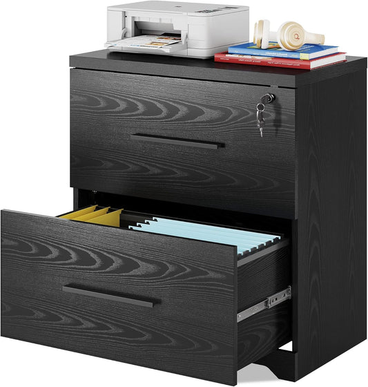 DEVAISE 2-Drawer Wood Lateral File Cabinet with Lock for Office Home, Black