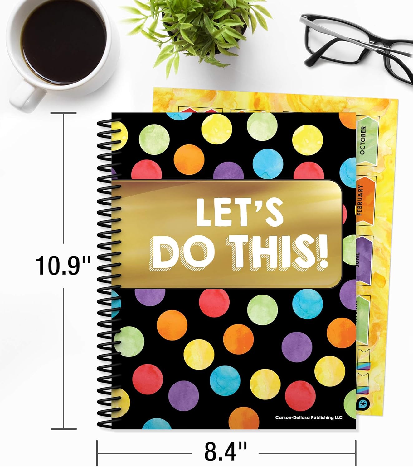 Carson Dellosa Celebrate Learning Teacher Planner 2025-2026, Undated 8" x 11" Lesson Plan Book With Stickers, Class Schedule, and Weekly Calendar School Supplies, Homeschool and Classroom Must Haves