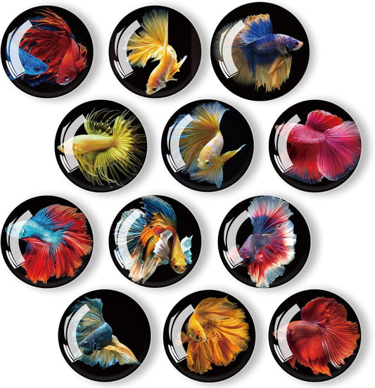 12Pcs Glass Strong Magnetic Refrigerator Magnet Fridge Sticker,Fish Fridge Magnets Decoration for Crafts,Strong Fridge Magnets for Kitchen, School,Office Whiteboard, Cabinet and Dishwasher