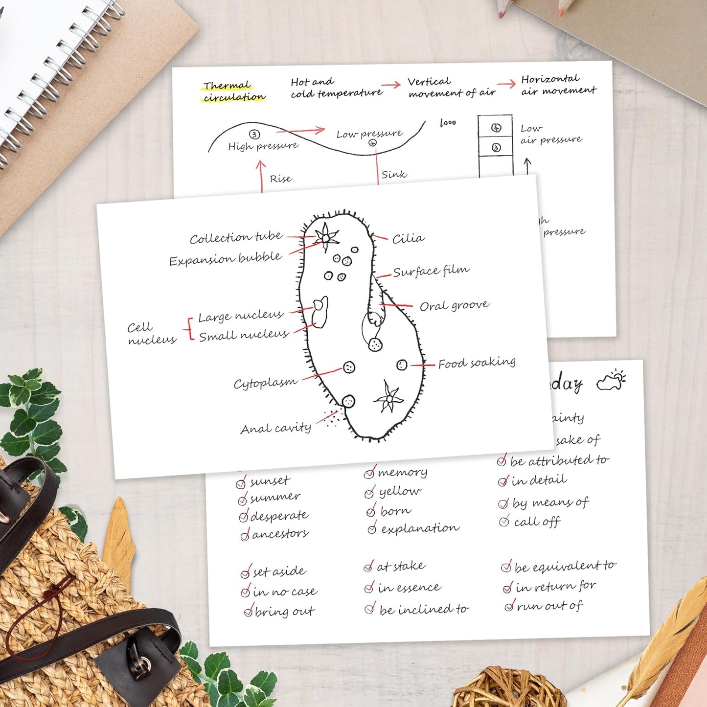 Chell 200 Count Blank Index Cards 5x8 Inch Heavyweight, No Bleed-Through, Double Side Unlined, 74 lb. Cover Weight, White