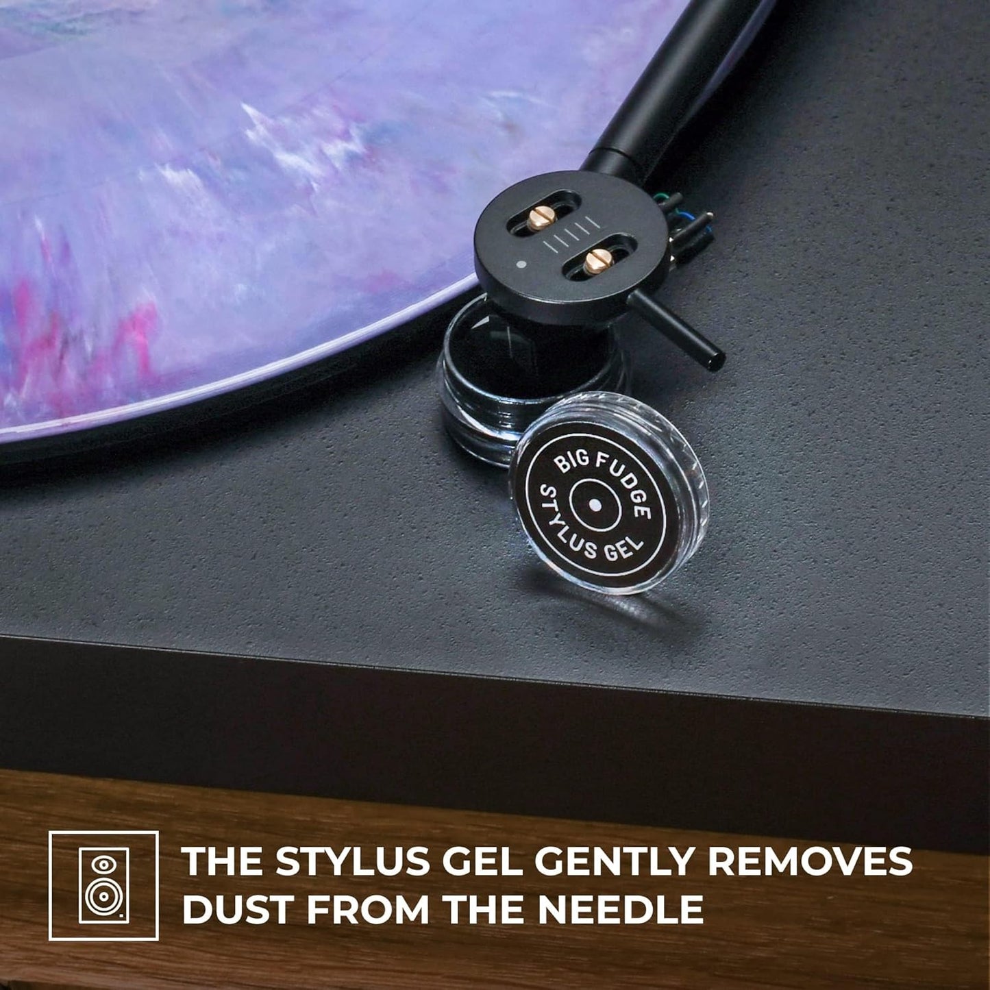 BIG FUDGE Professional Series Vinyl Record Cleaner Kit - Vinyl Record Cleaning Kit Includes Vinyl Record Brush Cleaning Fluid, Stylus Gel, Brush for Velvet, Padded Storage Case