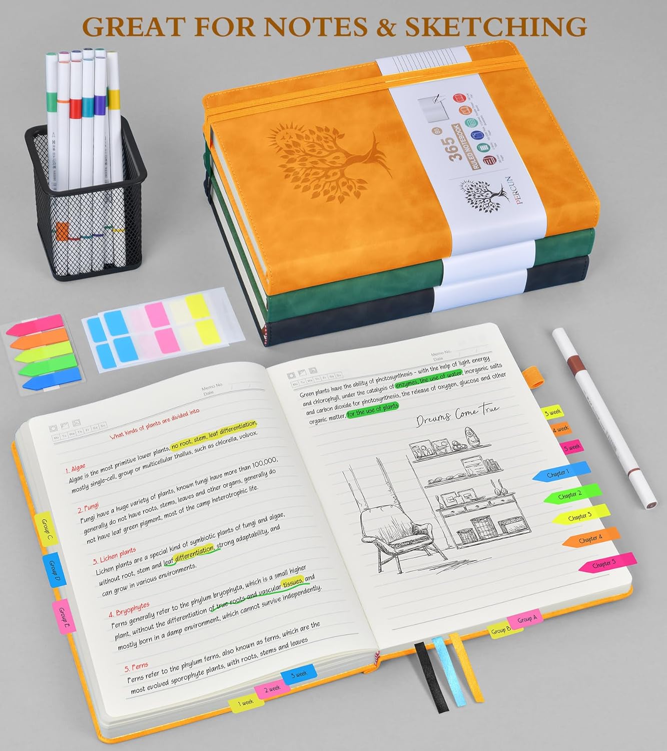 B5 Lined Journal Notebook - 365 Page Large Leather Journals for Writing Women Men，Hardcover Notebook with 100Gsm Thick Pages，Daily Diary for Travel, Work，School，College Ruled (7.6" x 10.3")