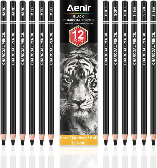 Charcoal Pencils for drawing, Set of 12, Charcoal Drawing Pencils (S-Soft, Soft, Medium, Hard), Art Supplies for Artist, Sketching, Shading