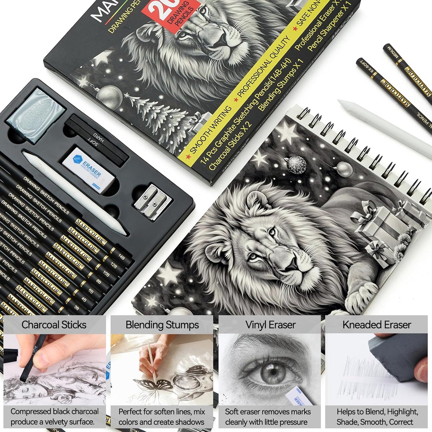 Drawing Sketching Pencil Set, 20 Pieces, Graphite Pencils (14B-4H), Charcoal Sticks, Stump, Eraser, Sharpeners, Ideal for Drawing Art, Sketching, Artist Pencils for Beginners & Pro Artists
