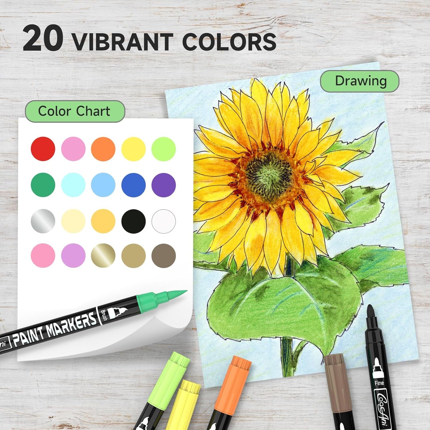 20 Colors Acrylic Paint Pens, Water-based Paint Markers for Wood,Canvas, Glass, Ceramic, Roch Painting,DIY Crafts, Art Supplier (20 Corlors(Brush and Fine Nib))